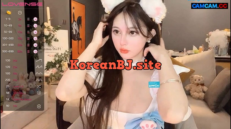 Chinese Cam – cnc2023771