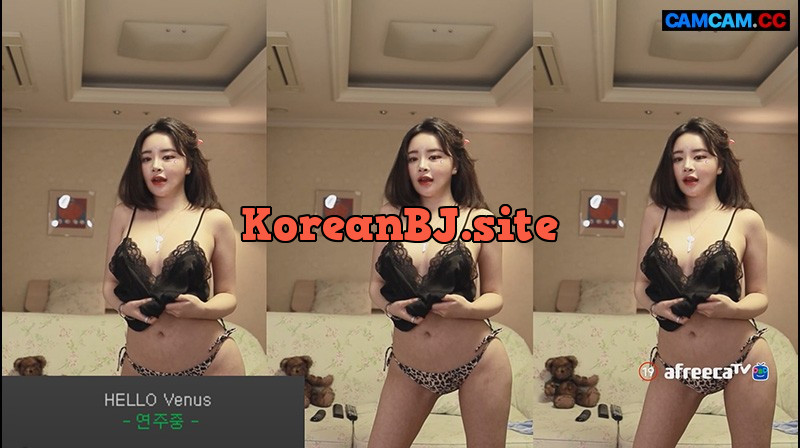 Korean BJ – kbj20224261