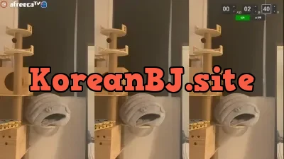 mingtnt 1