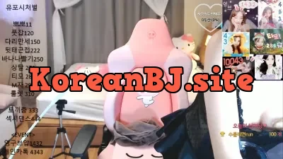 BJ 사슴이 Deer (133)