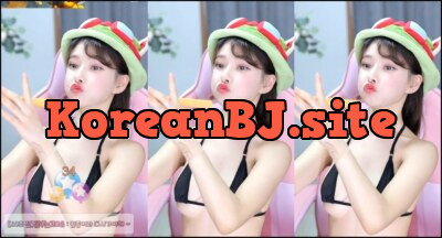 Korea BJ98꽃사슴 (2)