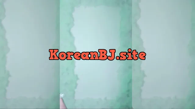 [Korean BJ] ksb0219 2024-08-20