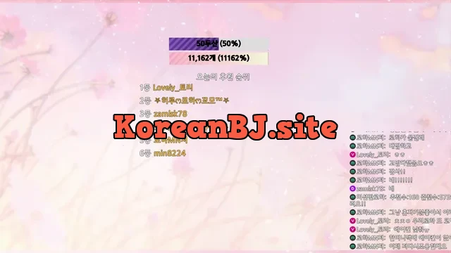 [Korean BJ] hfpw4i19 2024-08-10