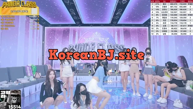 [Korean BJ] pandaclass 2024-10-08