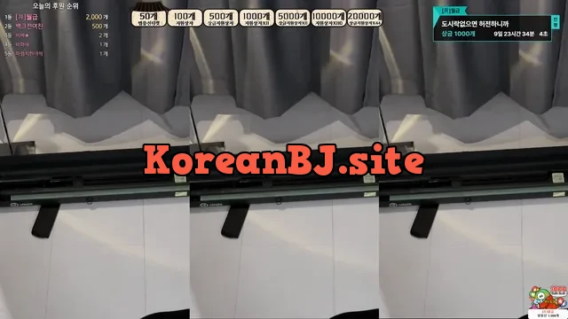 [Korean BJ] moonwol0614 2024-11-06