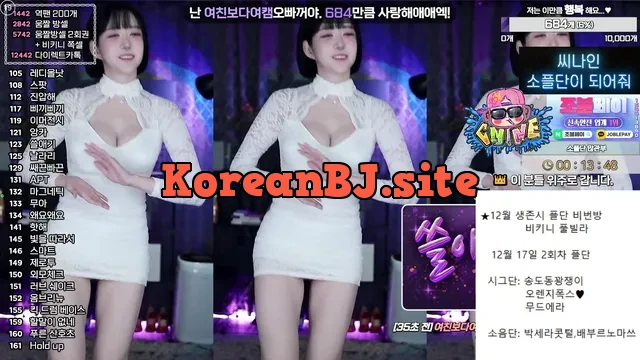 [Korean BJ] soyether 2024-12-11