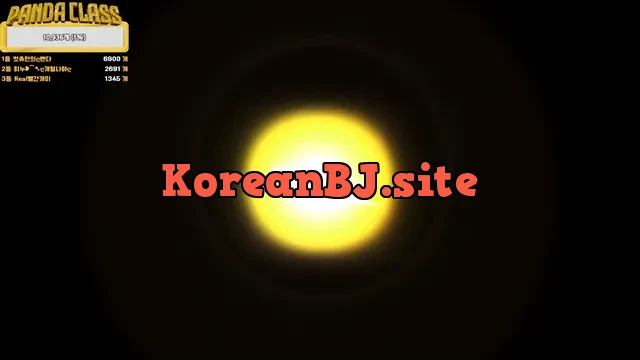 [Korean BJ] pandaclass 2025-03-22
