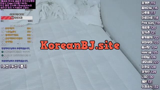 [Korean BJ] ahri0801 2025-01-23