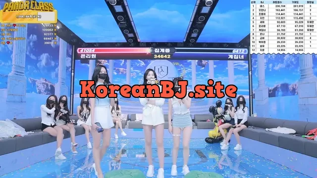 [Korean BJ] pandaclass 2025-04-15