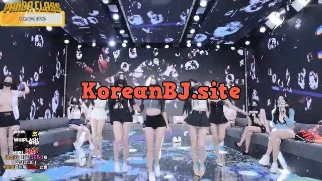 [Korean BJ] pandaclass 2025-04-17