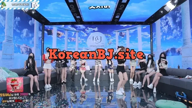 [Korean BJ] pandaclass 2025-06-19