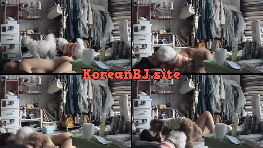[Korean BJ] 강아지 – KA25071308 – koreanbj.club