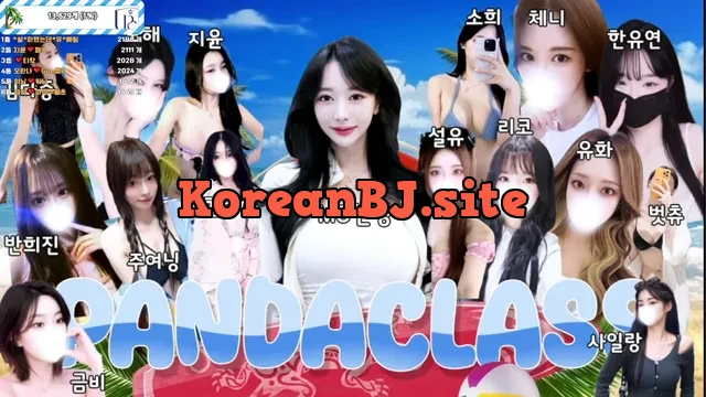 [Korean BJ] pandaclass 2025-06-24
