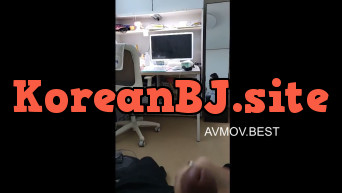 존예얼공.포터BEST ★ PARIS 회색맨투맨 간단펠라