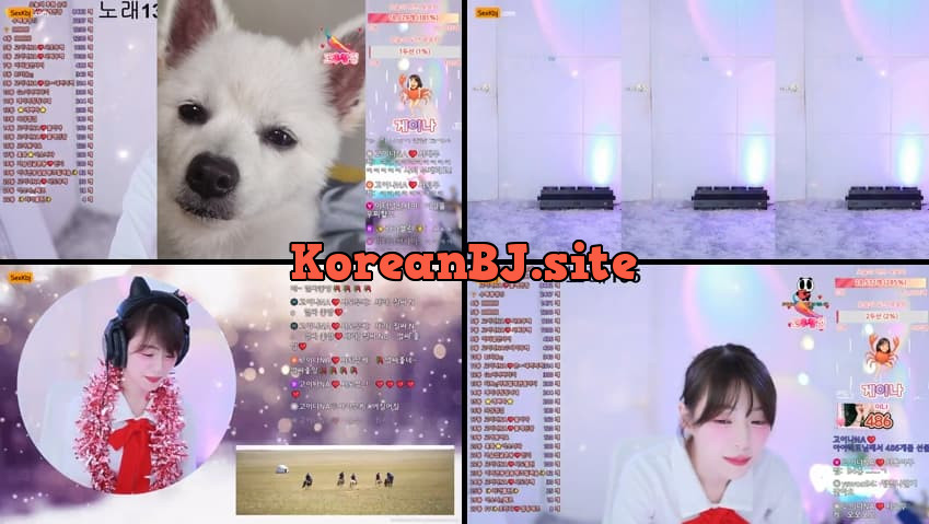 [Korean BJ] qkeksms3 – KBJ25090646 – koreanbj.club