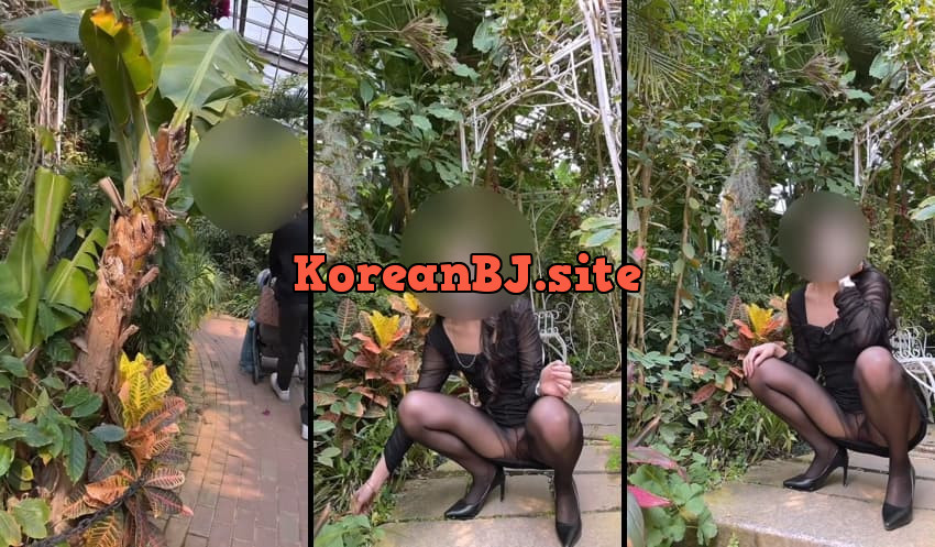 [Korean BJ] 유튜버 – KA25091352 – koreanbj.club