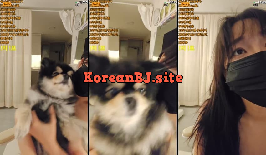 [Korean BJ] mat1004 – KBJ25091641 – koreanbj.club