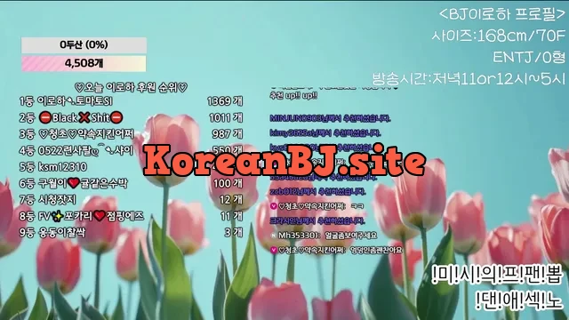 [Korean BJ] hfpw4i19 2025-06-22