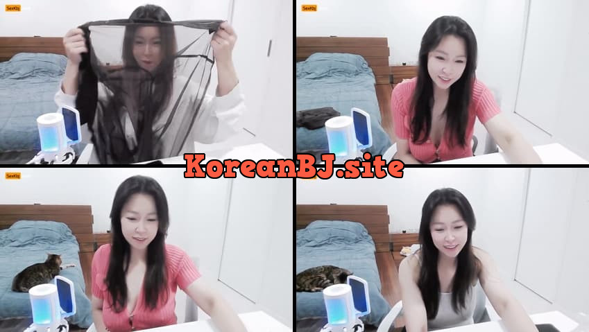 [Korean BJ] una333(BJ수하) – KBJ25111148 – koreanbj.club