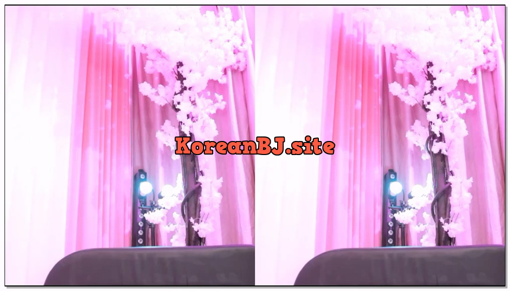 [kbj] 315-luvsy2_2026-02-11 | koreanbj.site