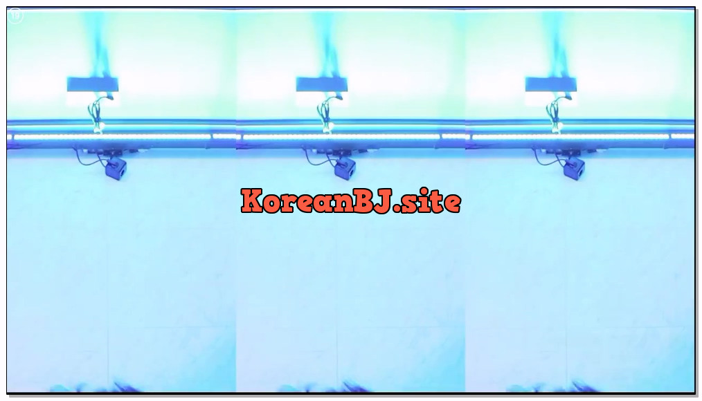[kbj] 465-kkok7816_2026-02-16 | koreanbj.site