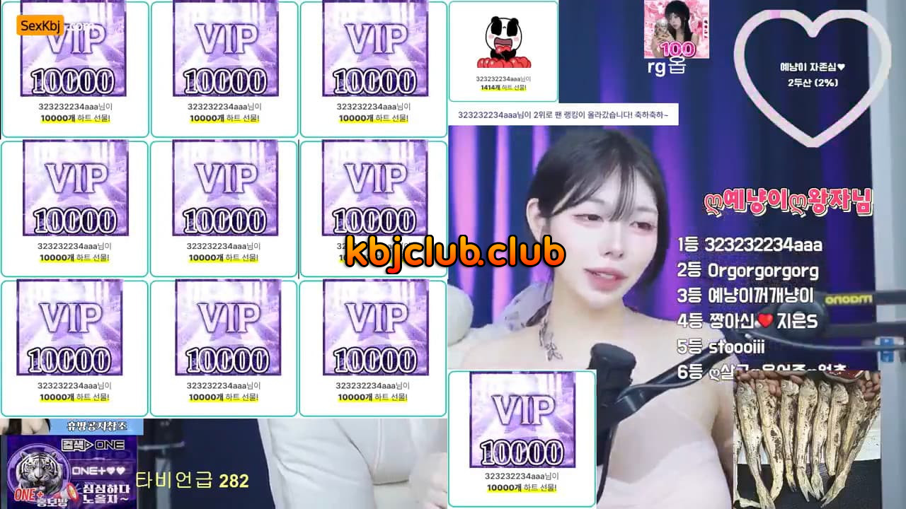 [Korean BJ] sjy454562(BJ예냥이) – KBJ26041838 – koreanbj.club