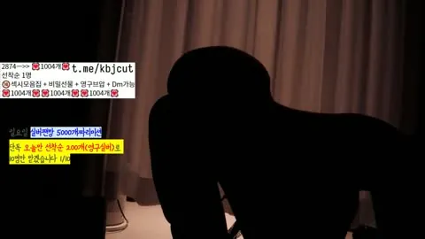nlight23 유린 20260924